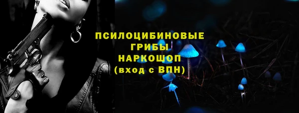 apvp Карпинск