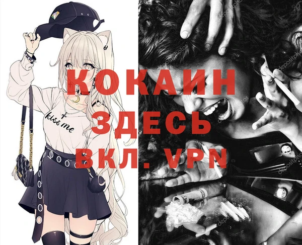 apvp Карпинск