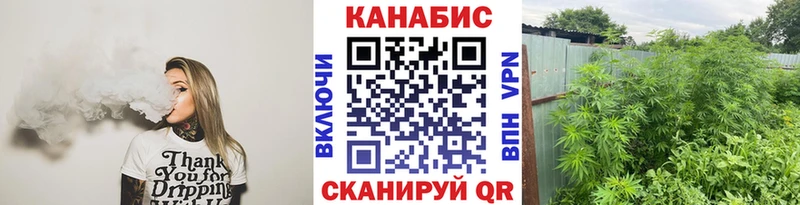 Канабис SATIVA & INDICA  Купить  Кемерово 